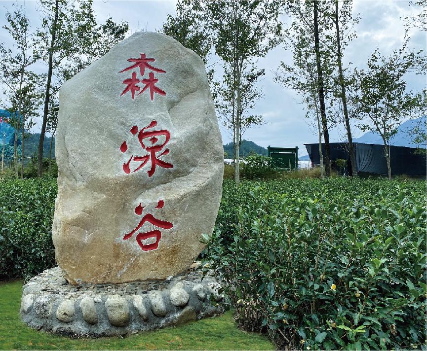 石頭.jpg